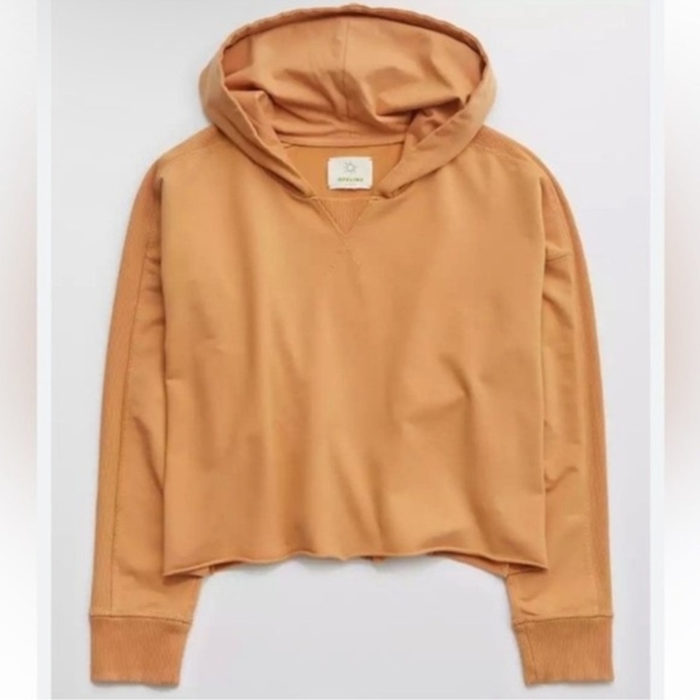 OFFLINE by Aries Cropped Hoodie Size M